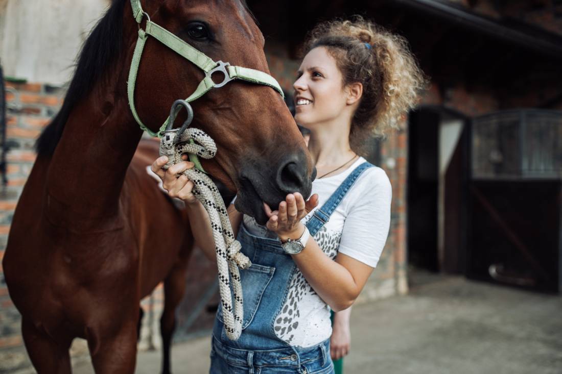 equicoaching cheval miroir des emotions