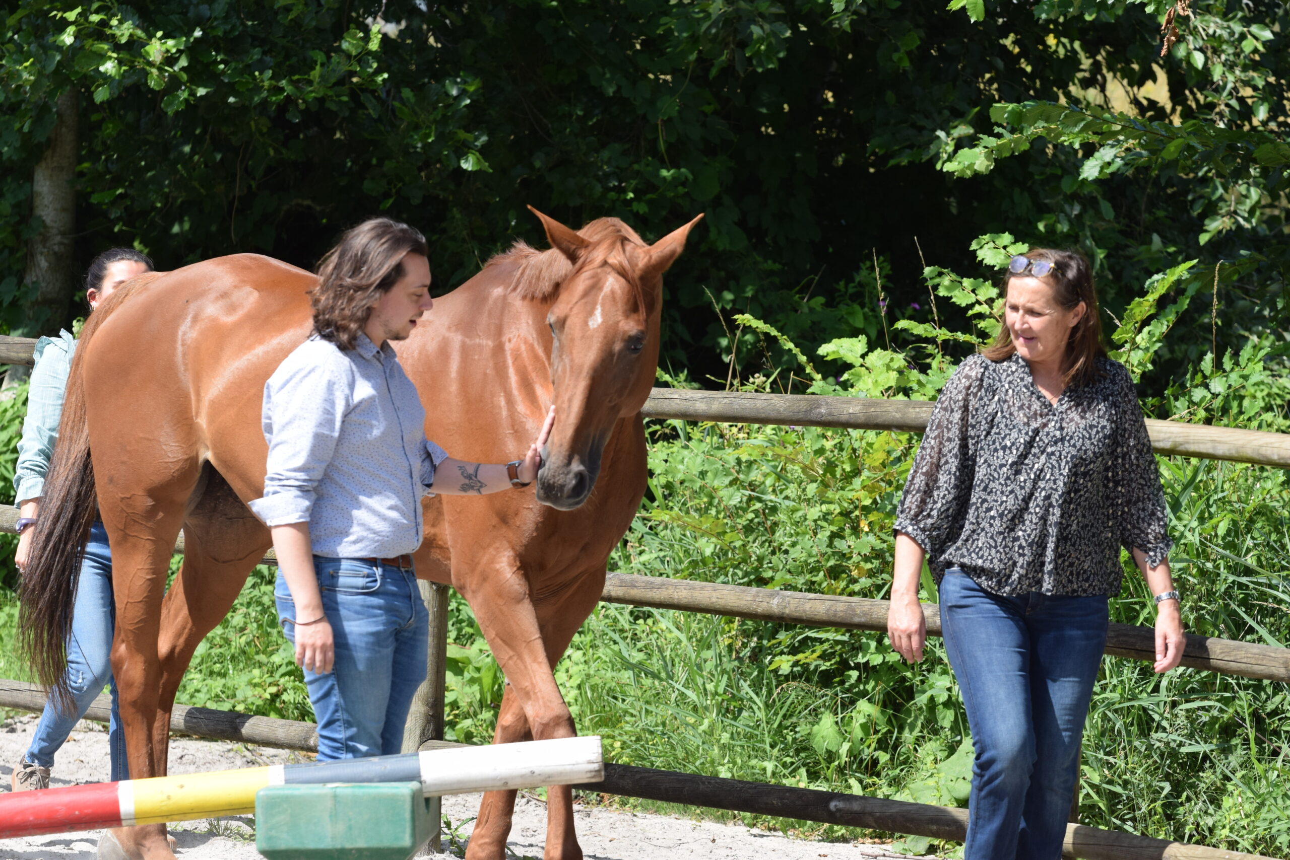 🗣️ oser poser tes limites sans culpabiliser zoom sur mr et cheval